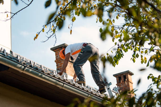 Best Residential Roofing Contractor  in Bort, GA