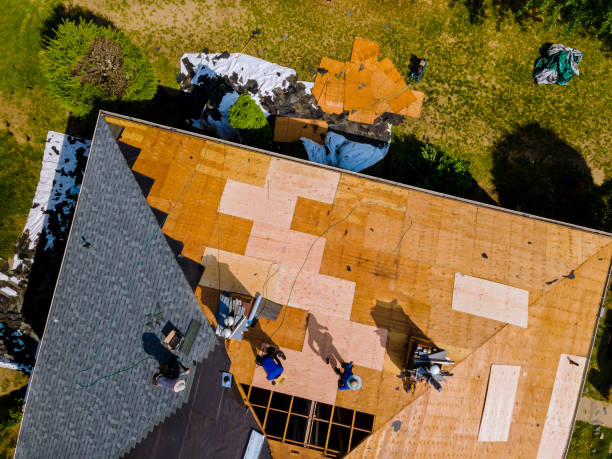 Best Roof Restoration Services  in Bort, GA