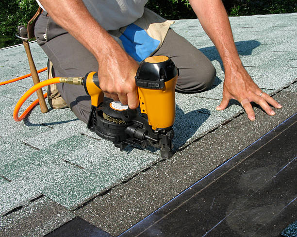 Best Storm Damage Roof Repair  in Bort, GA