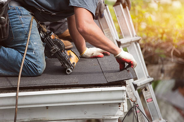 Best Roof Gutter Cleaning  in Bort, GA