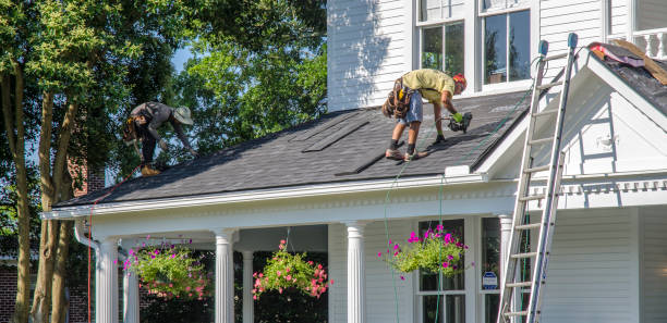 Best Storm Damage Roof Repair  in Bort, GA